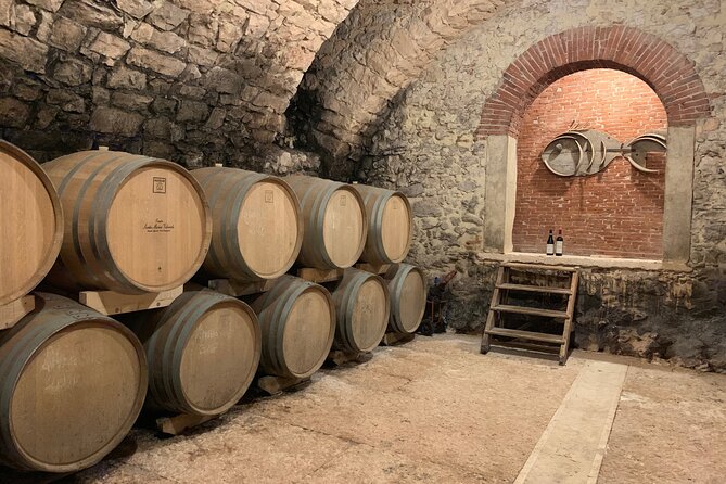 Champagne Experience at a Boutique Winery - What’s on the plate: anchovies, butter, fruit, and more