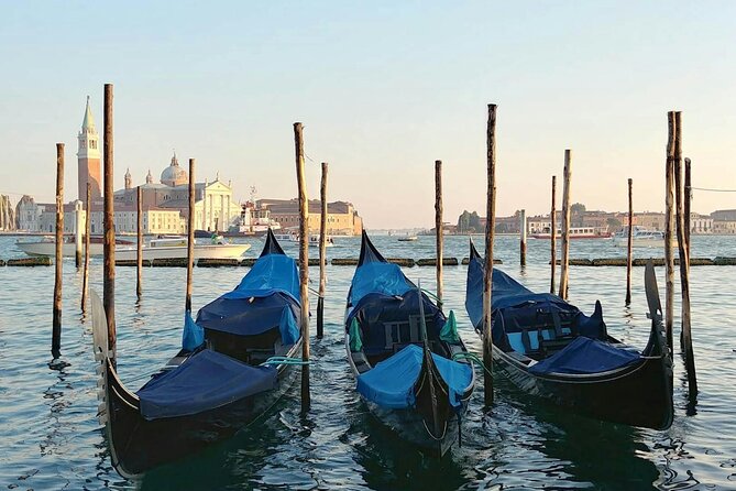 Classic Venice Full Day Tour from Lake Garda - Key things I’d notice before you go