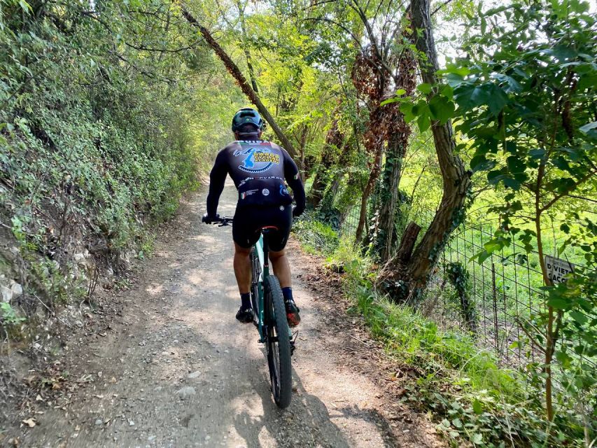 Desenzano: e-Bike Tour with Wine Tasting - Key highlights worth your attention