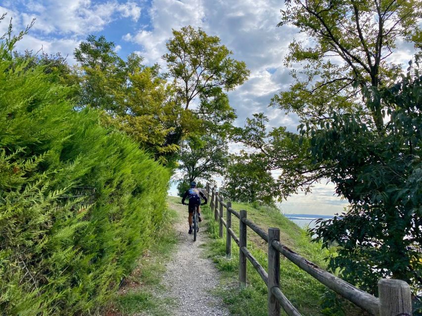 Desenzano: e-Bike Tour with Wine Tasting - Effort level, who it suits, and who should skip it