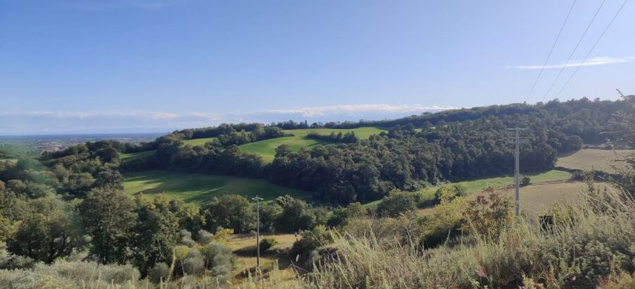 Desenzano: e-Bike Tour with Wine Tasting - Value for $99: what you’re really paying for