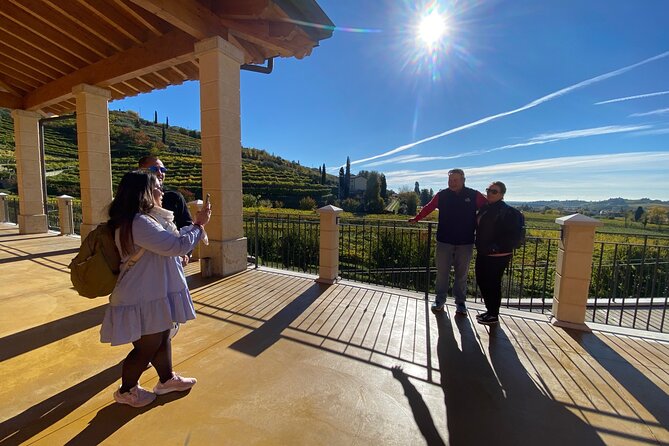 Discover the Amarone wine: 1 winery with delicious food pairing - Valpolicella in Verona’s backyard: Amarone, Ripasso, and Recioto made simple