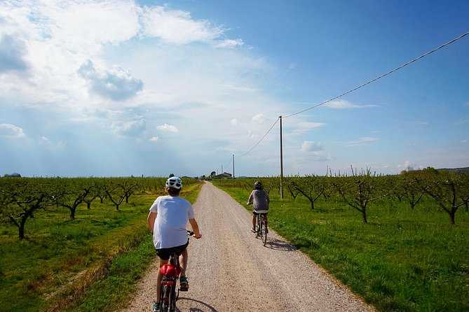 E-bike adventure among medieval castles and old villages - Key things to know before you go