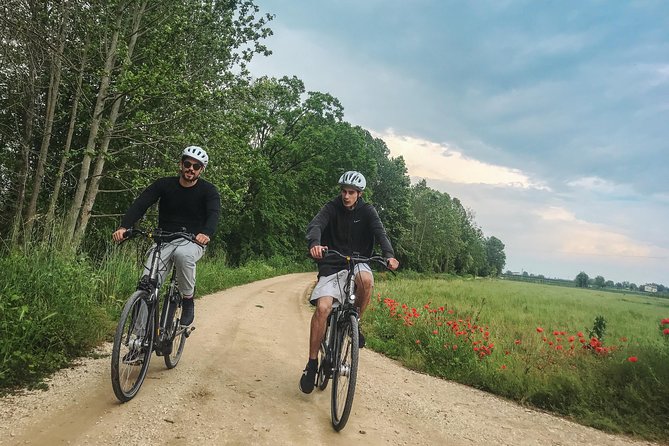 E-bike adventure among medieval castles and old villages - Pedal Past Vineyards, Fruit Trees, and Castle Views