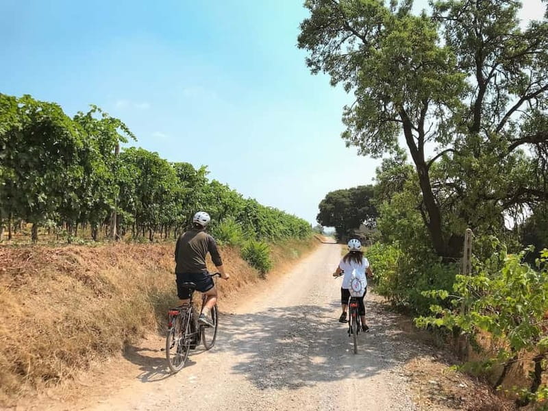 E-bike adventure among villages and medieval castles - Villafranca di Verona by e-bike: the smart way to avoid boring transport