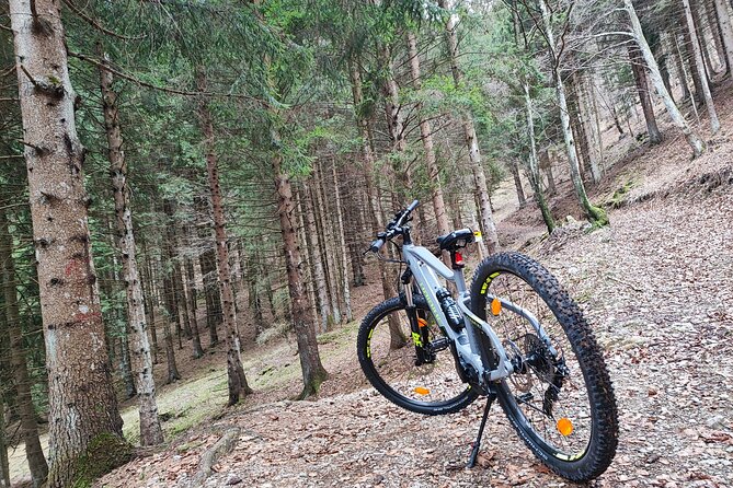 E-bike rental in Riva Del Garda - Key Highlights You’ll Care About