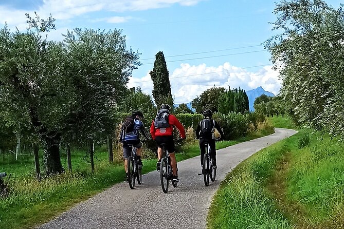 E-Bike Tour and Wine Tasting from Bardolino - Key points before you go