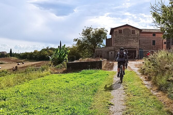 E-Bike Tour and Wine Tasting from Bardolino - Small-group size: why it helps more than you think