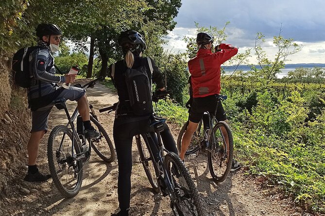 E-Bike Tour and Wine Tasting from Bardolino - Price and value: is $96.33 worth it?