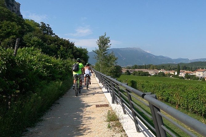 E-Bike Tour and Wine Tasting from Bardolino - The ride setup: e-bikes, pace, and how the 25 km feels in real life