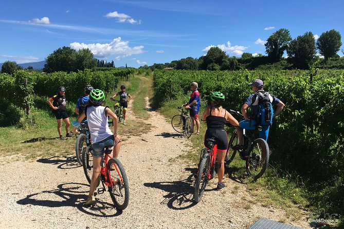 E-Bike Tour and Wine Tasting in Lazise - A small-town interlude near Lazise