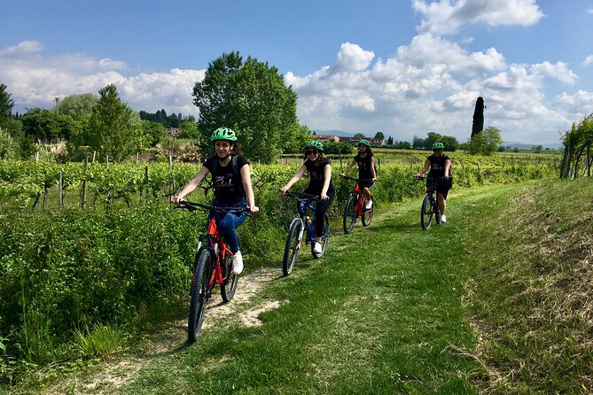 E-Bike Tour and wine tasting in Lazise Countryside - Key things that make this tour a smart Lake Garda choice
