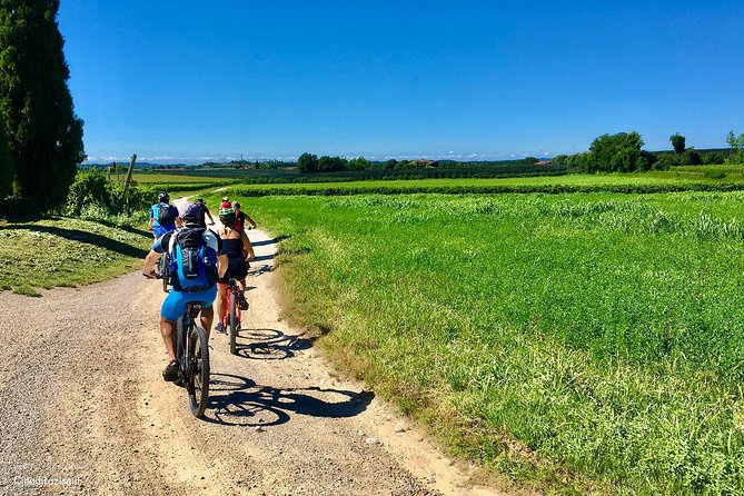E-Bike Tour and Wine Tasting in Lazise - Riding between Lazise vineyards and olive trees
