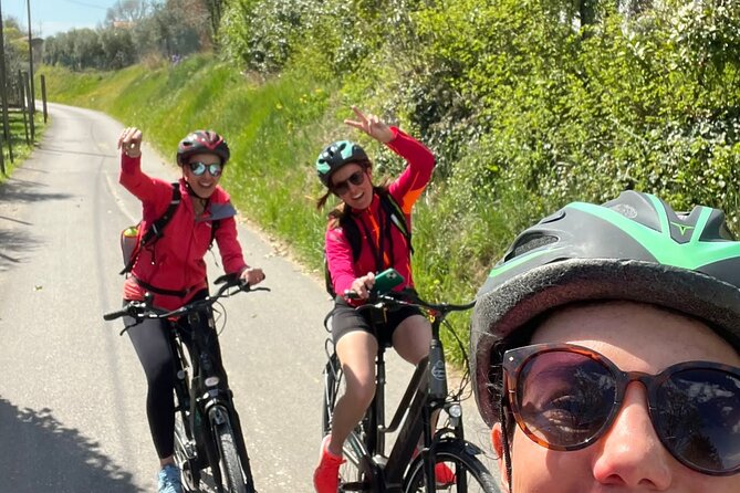 E-Bike tour with stop in the cellar in the Bardolino area - Calmasino: open-air wine country and the cellar visit