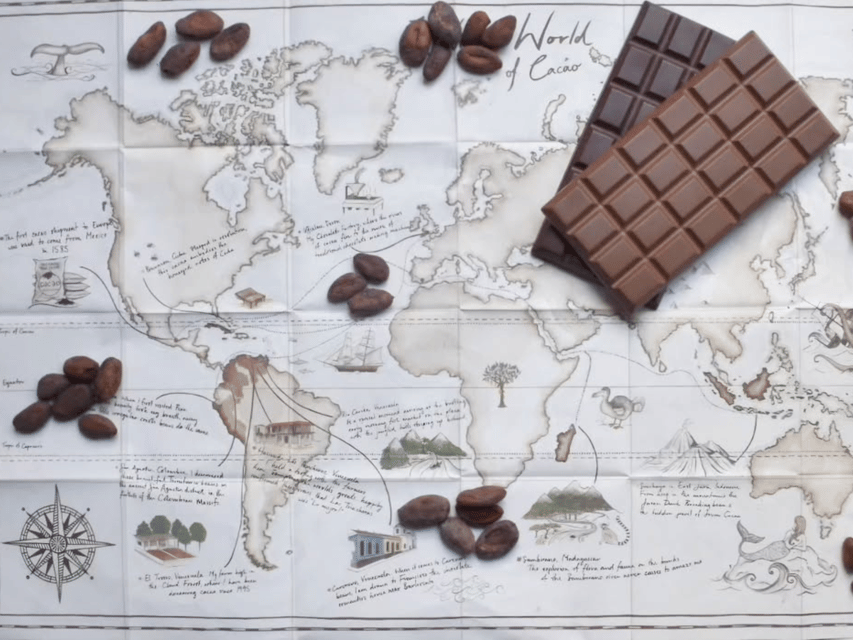 Fine Chocolate Tasting in Turin - Who This Fine Chocolate Tasting Fits Best