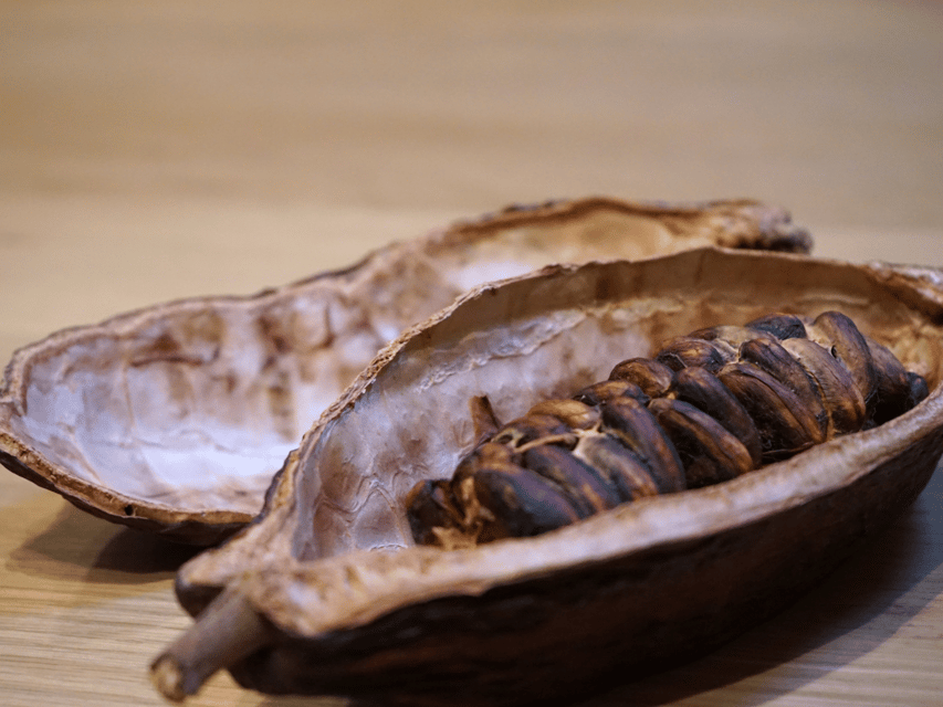 Fine Chocolate Tasting in Turin - The Real Star: Gianduja and Why Turin Starts Here