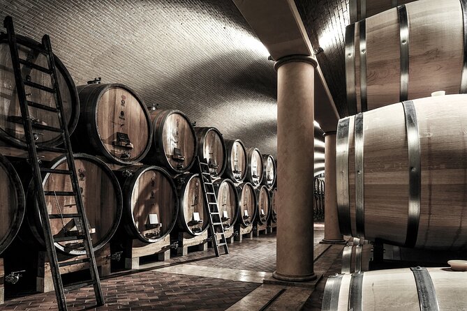 Food and Wine Tasting in Valpolicella - Key highlights you should care about