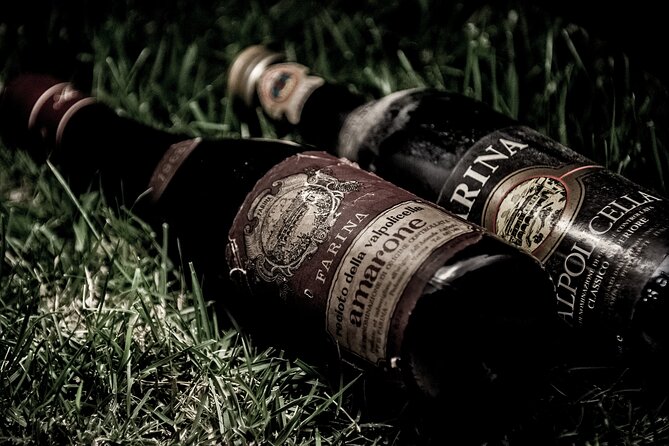 Food and Wine Tasting in Valpolicella - What “most travelers can participate” means in real life