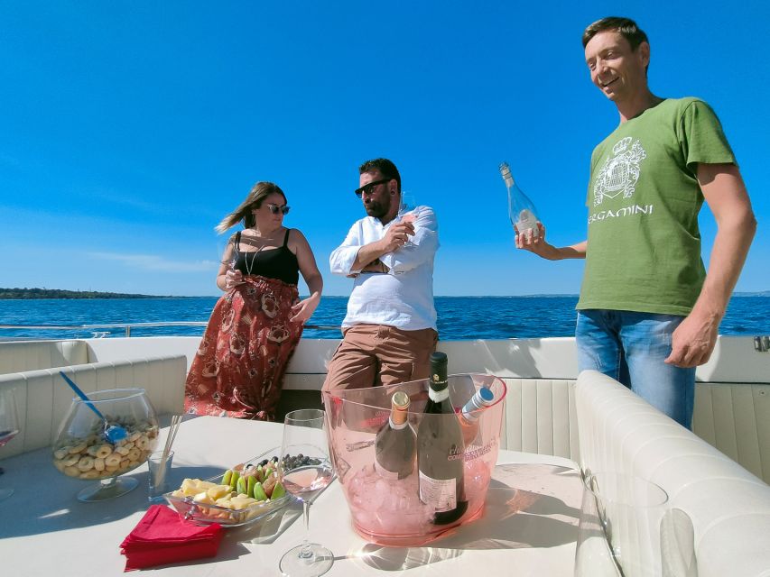 From Lazise: Lake Garda Private Cruise with Wine Tasting - How Private Cruising Changes the Mood (and the Value)