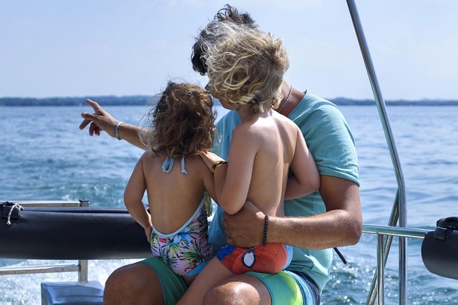 From Lazise: Southern Lake Garda cruise with lunch - Southern Lake Garda views from the water: what you actually see