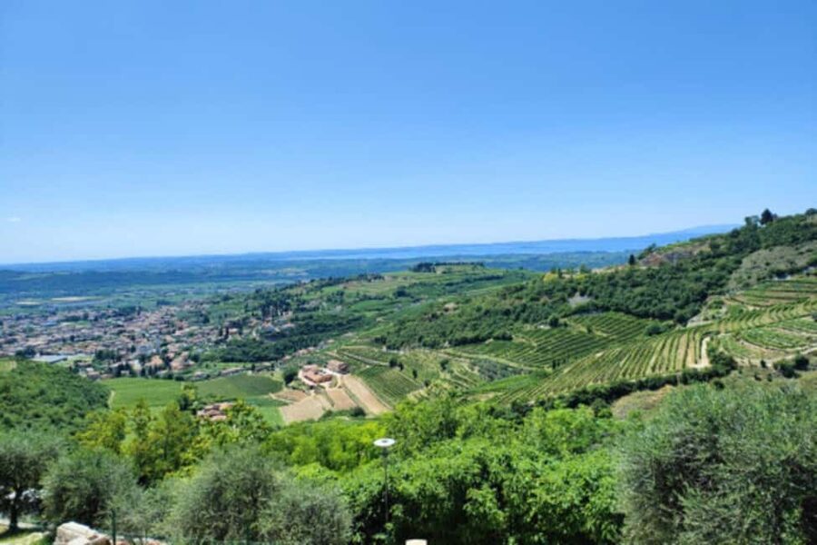 From Verona: Amarone Half-Day Wine Tasting Tour - Valpolicella Wines from Verona: Why This Route Works