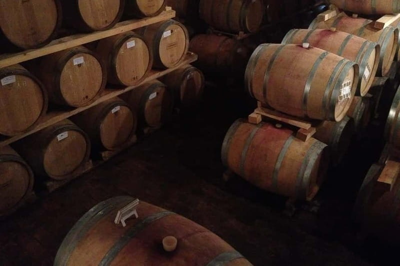From Verona: Amarone Wine E-Bike Tour with Tasting - Key highlights you’ll feel from the start