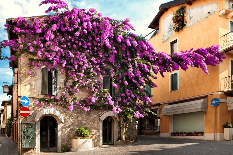 From Verona: discover Lake Garda and Sirmione private tour - 30-minute private boat tour: best way to see Sirmione’s coastline
