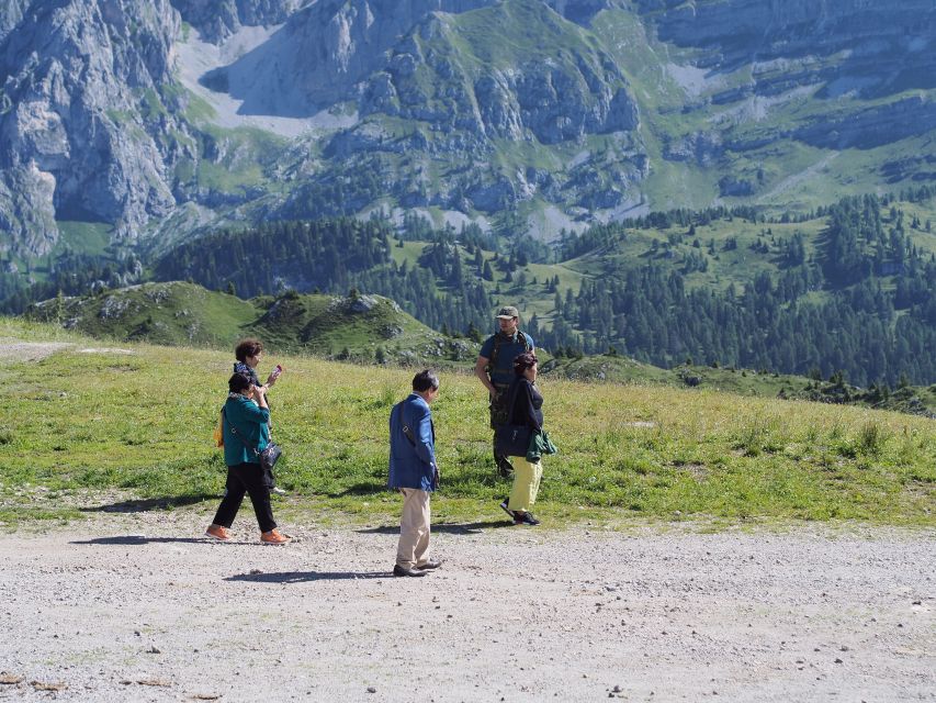 From Verona: Full-day Dolomites Mountains Guided Tour - Should you book this Dolomites day tour from Verona?