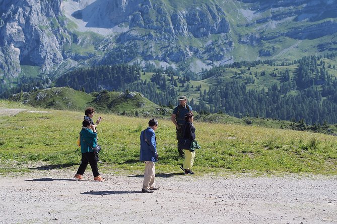 From Verona: Full-day Dolomites Mountains trip - Who this Verona–Dolomites day trip fits best