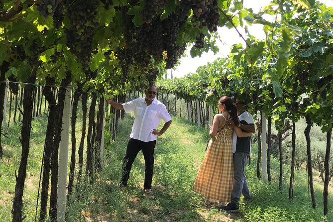 From Verona: Prosecco & Classic method sparkling wine tour, with light lunch - Verona to Colli Berici: why this trip feels more personal