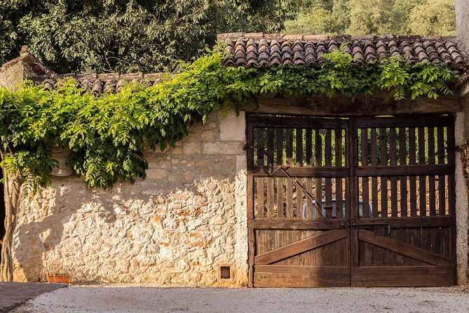 From Verona: Prosecco & Classic method sparkling wine tour, with light lunch - What you’re really paying for: value at $363.38 per person