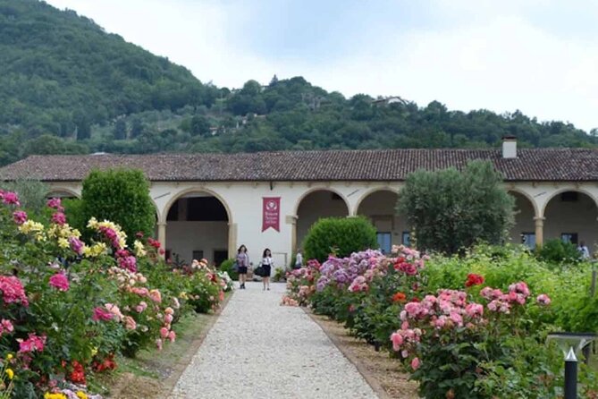From Verona: Prosecco & Classic method sparkling wine tour, with light lunch - Who this tour fits (and who might want a different day)