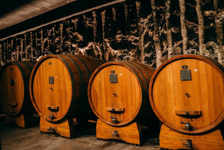 From Verona: Valpolicella and Amarone Wine Tasting Tour - Key highlights worth clocking