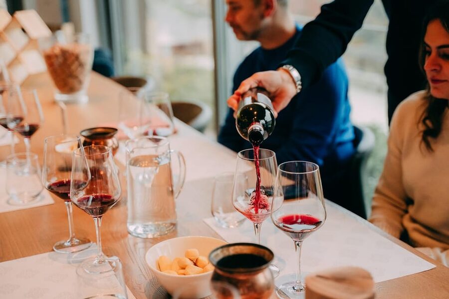 From Verona: Valpolicella and Amarone Wine Tasting Tour - Stop 1 winery: get the cellar story and a first tasting lineup