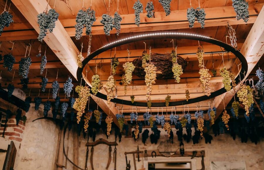 From Verona: Valpolicella and Amarone Wine Tasting Tour - The Ripasso and Amarone connection: what you’re really learning