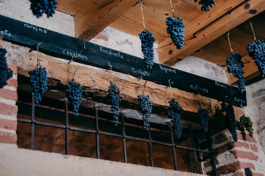 From Verona: Valpolicella and Amarone Wine Tasting Tour - The van ride time: the underrated part of a good wine tour