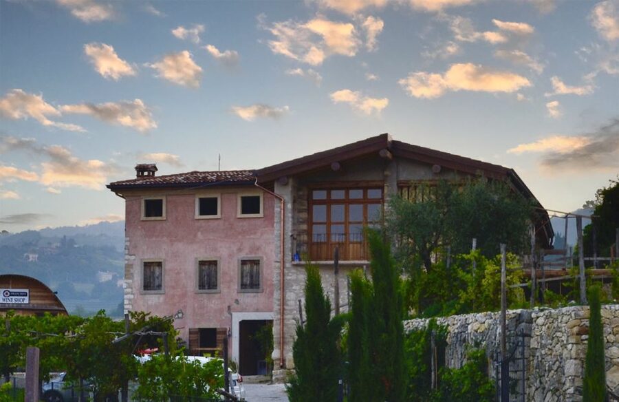 From Verona: Valpolicella Winery Tour with Amarone Vintages - The guided tasting: Valpolicella Classico to Amarone Riserva to Recioto