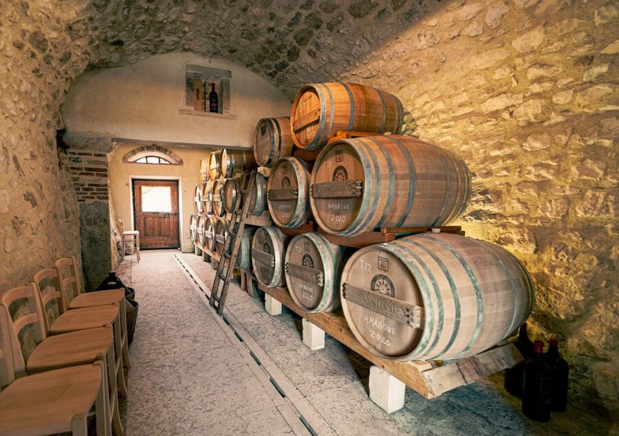 From Verona: Valpolicella Winery Tour with Amarone Vintages - The vineyard vibe and how the tasting lands on the palate