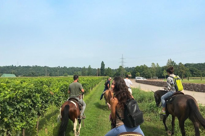 Horseback riding and wine tasting - Key Highlights You Should Know