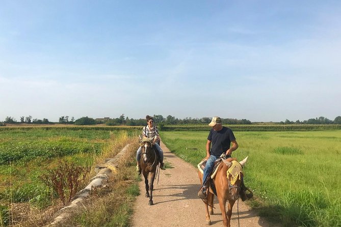 Horseback riding and wine tasting - After the Ride: Brushing Your Horse and Ending on a Human Note
