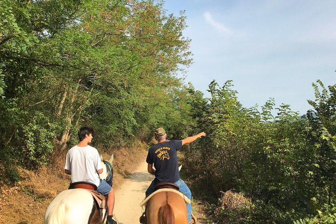 Horseback riding and wine tasting - Riding the Vineyards toward the Hill of Custoza