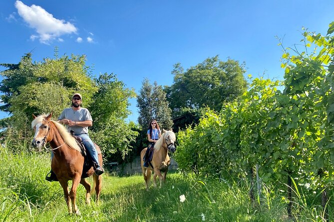 Horseback Riding with Wine and Food Tasting in Lazise Countryside - Why Horseback Through Lazise Vineyards Feels Worth It