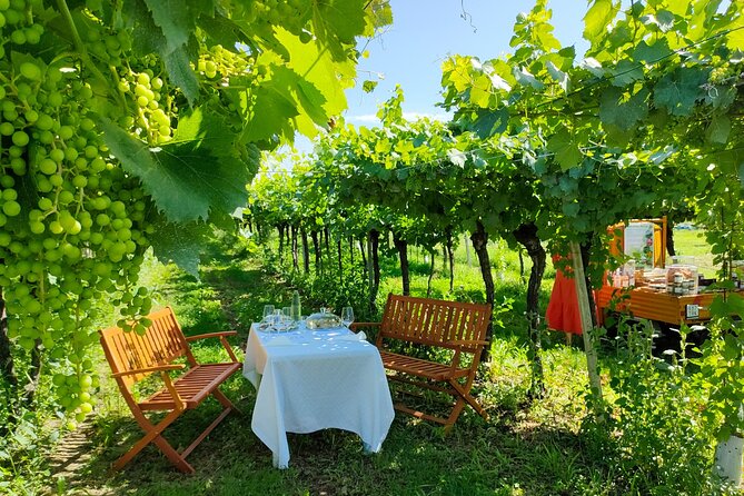 Horseback Riding with Wine and Food Tasting in Lazise Countryside - 3 Hours Around Lazise: What the Timing Really Means