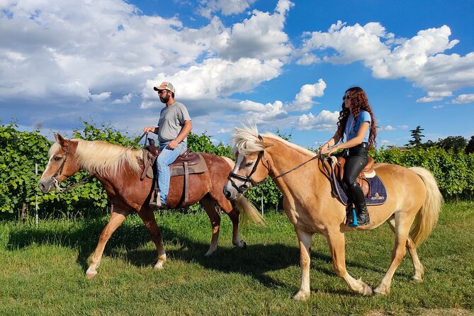 Horseback Riding with Wine and Food Tasting in Lazise Countryside - Passing Colà on Horseback: Bardolino and Chiaretto Country