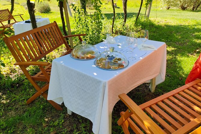 Horseback Riding with Wine and Food Tasting in Lazise Countryside - How Beginner-Friendly Is the Riding?