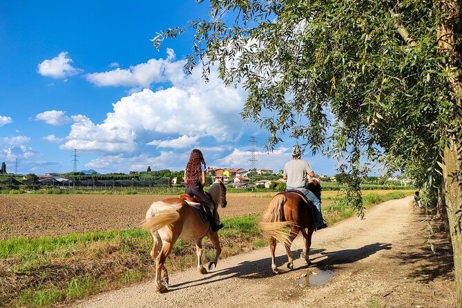 Horseback Riding with Wine and Food Tasting in Lazise Countryside - Meeting Point Near 37017 Lazise: Easy Location, Same Return
