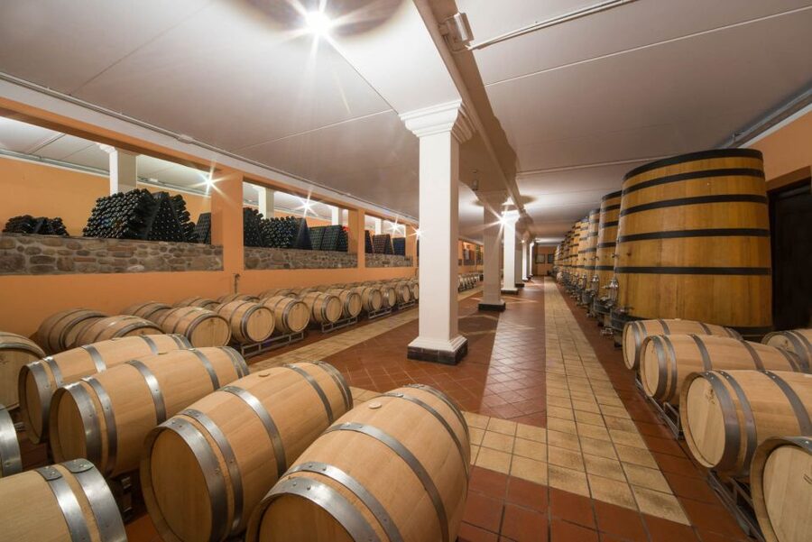Lake Garda: Garda Hills Wine Tour and Tasting - Why this Lake Garda wine tour feels different than a quick tasting
