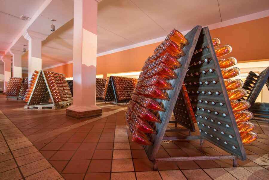 Lake Garda: Garda Hills Wine Tour and Tasting - Language, guide style, and the Enrico factor
