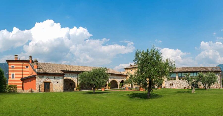 Lake Garda: Garda Hills Wine Tour and Tasting - Walking the vines: grape varieties and the “how it’s grown” part