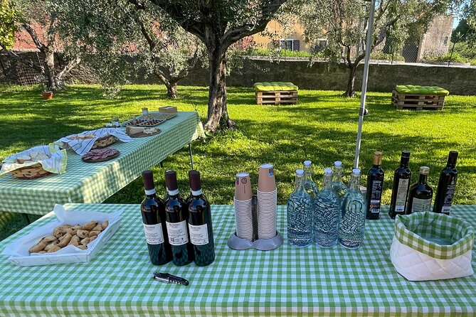 Lake Garda Olive Oil Tour and Tasting Experience - Lake Garda stop and the olive flavor showdown in the garden